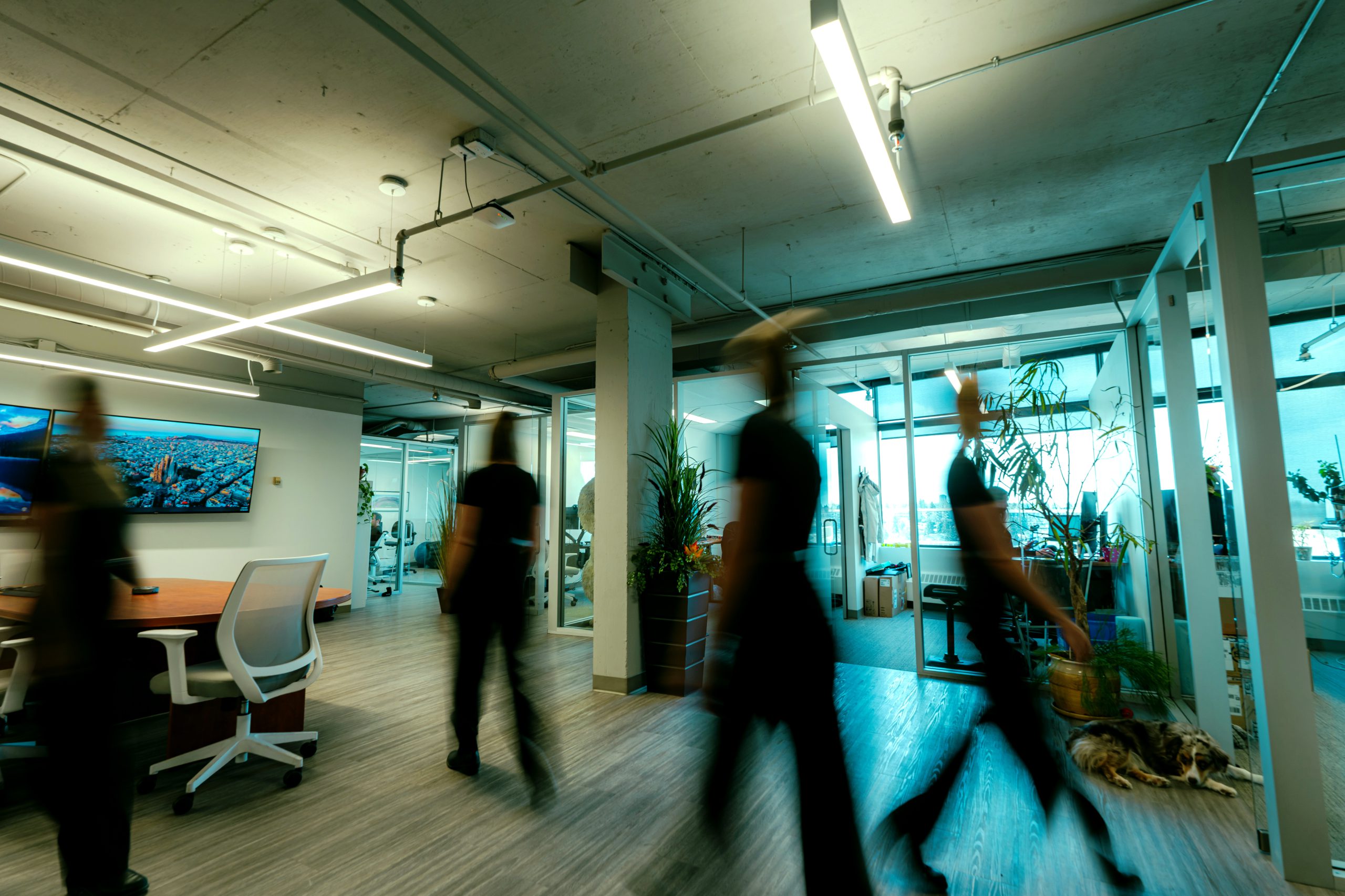 LAN Security Operations Center professionals
