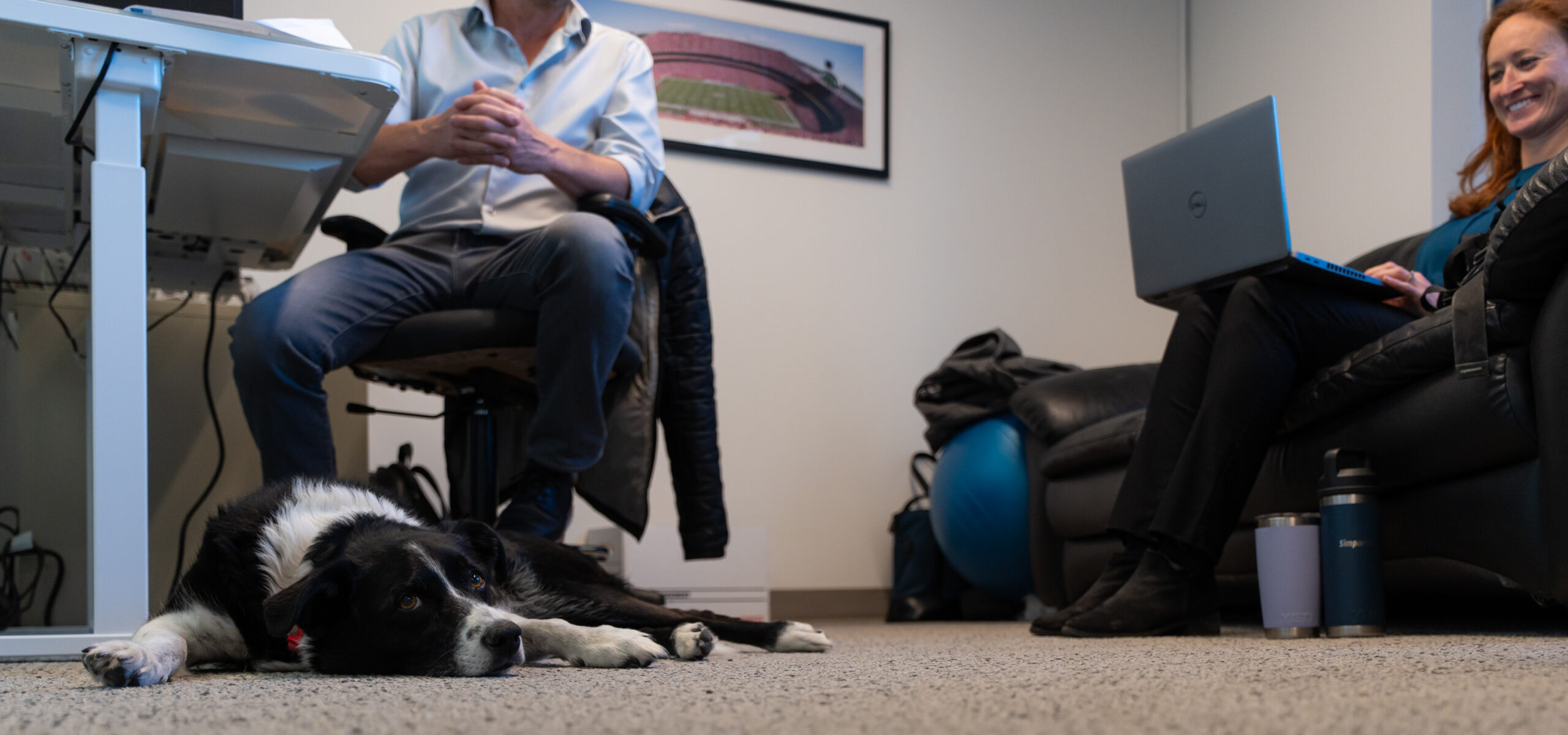 LAN team working in the office